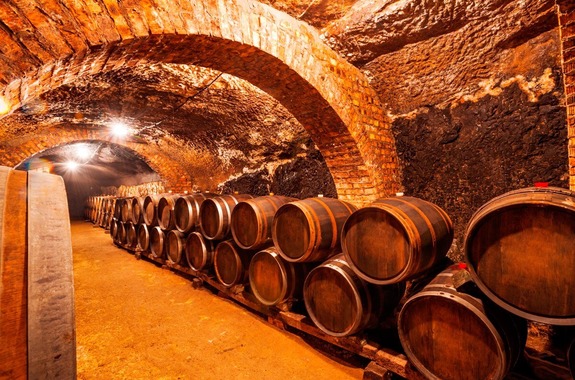 Картинка винная дегустация Будапешт